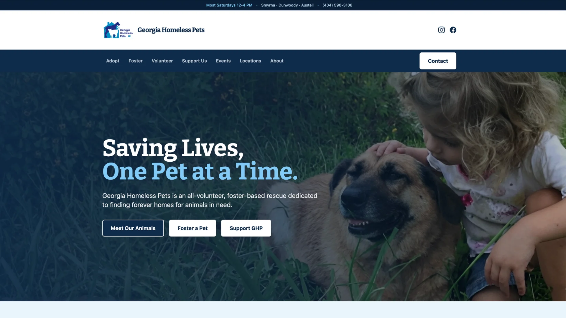 Georgia Homeless Pets project